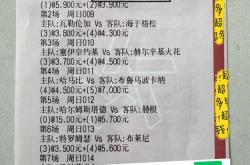 JJB-勒沃库森清晨手感冰凉，志在德甲名次提升，管理层满意，轮换策略成焦点的简单介绍